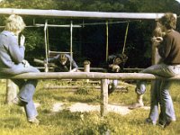 Freienfels 1978-010  Wie soll man DAS betiteln?